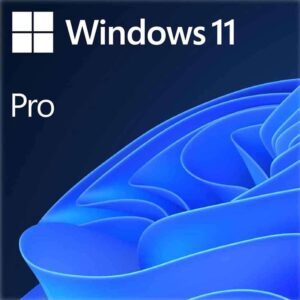 WINDOWS 11 PRO LICENSE UK INTL 64-BIT SOFB